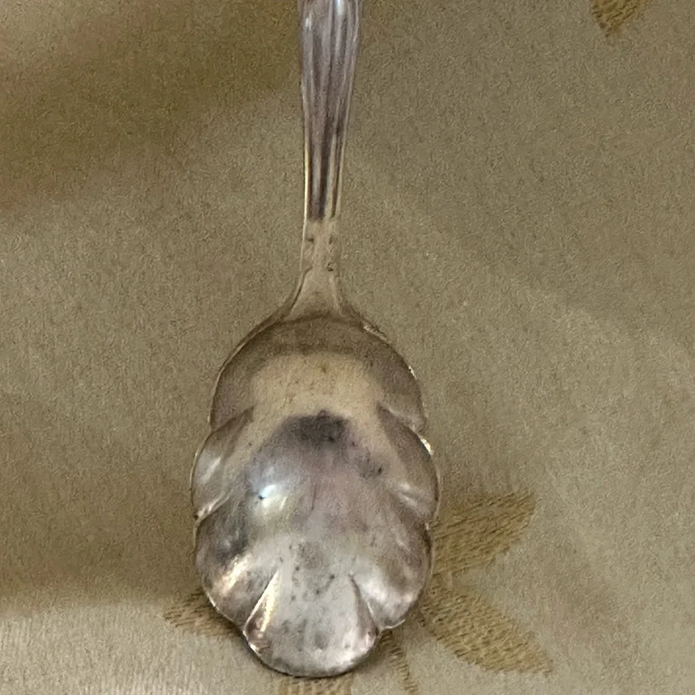 Vintage WM Rogers ⭐️ Scalloped Serving Spoon.